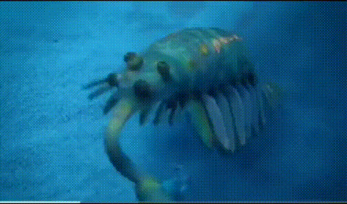 screen-20250927-080017-2.gif