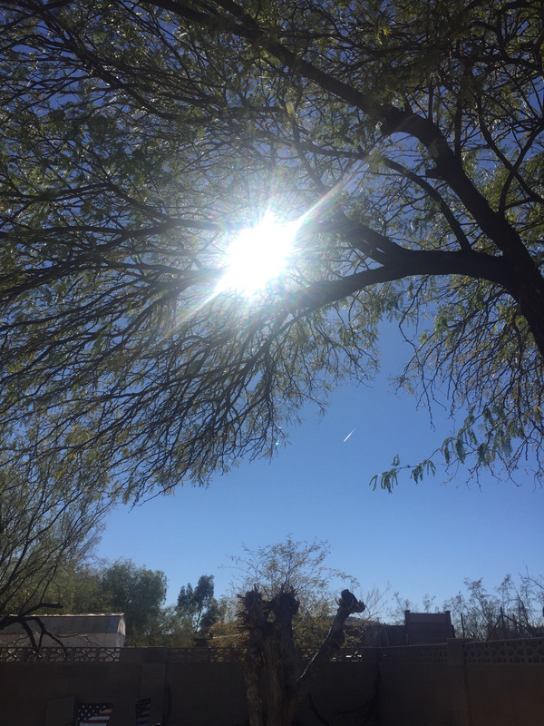 16BDC8A2-7020-448B-9EF9-339D62CE72CB