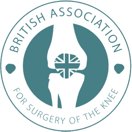 BASK logo