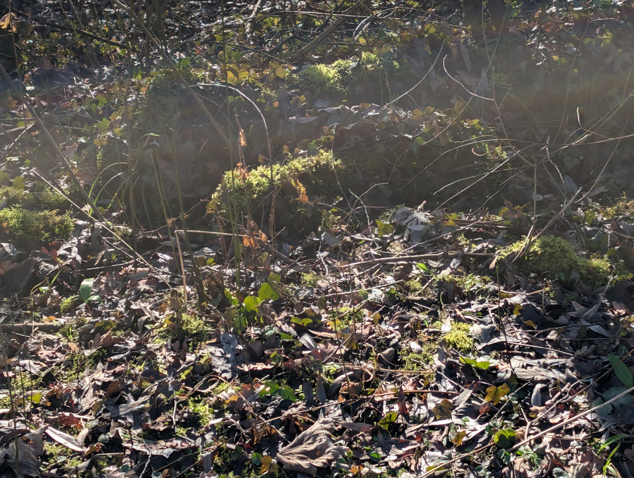 PXL 20260207 125922016