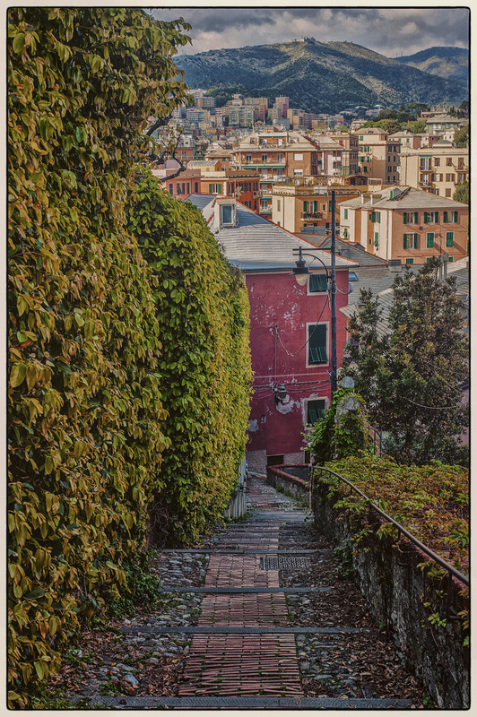 46891763744_8441439ae3_o (1)