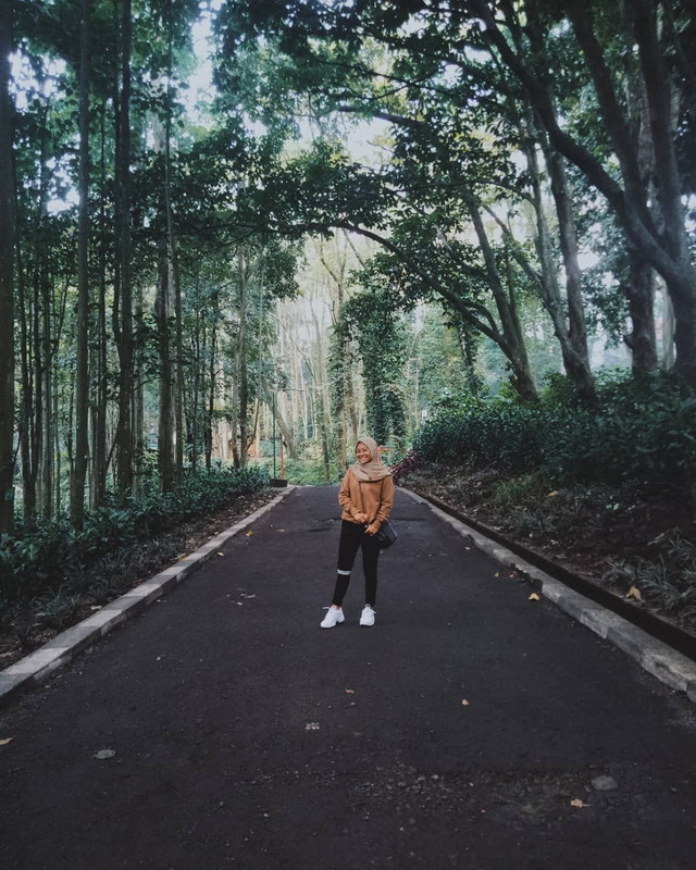 Taman Ir. H. Juanda
