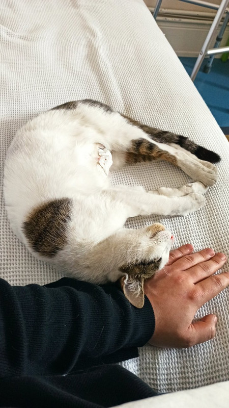 https://i.postimg.cc/76HbzqK6/IMG-20210312-104125.jpg