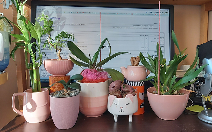 [Image: 20200704-190601.jpg]