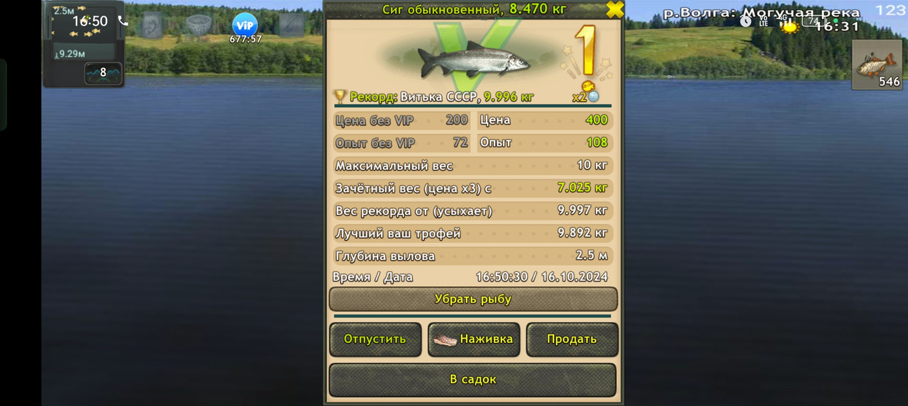 Screenshot-2024-10-16-16-50-35-55-fa28ee