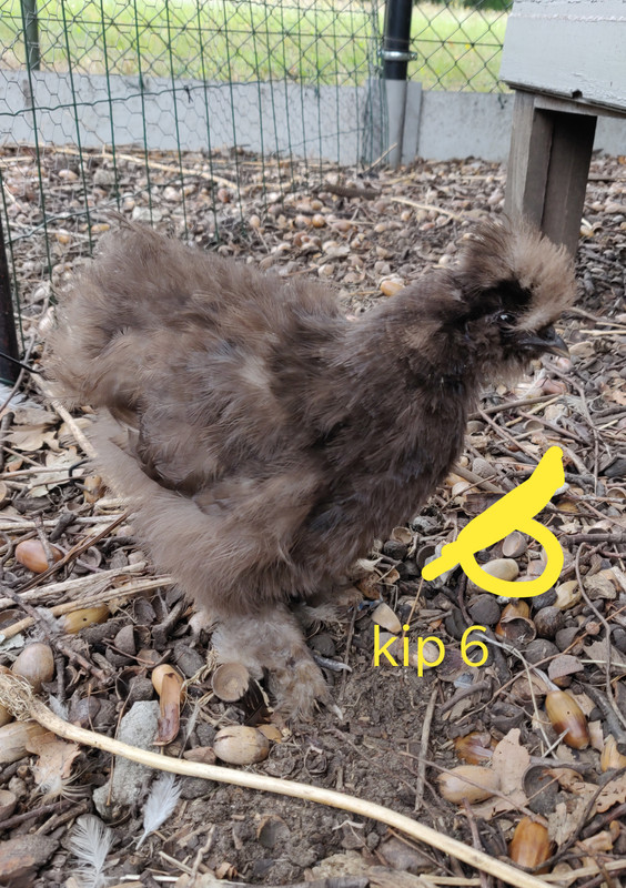 IMG_20190923_144319__01__01