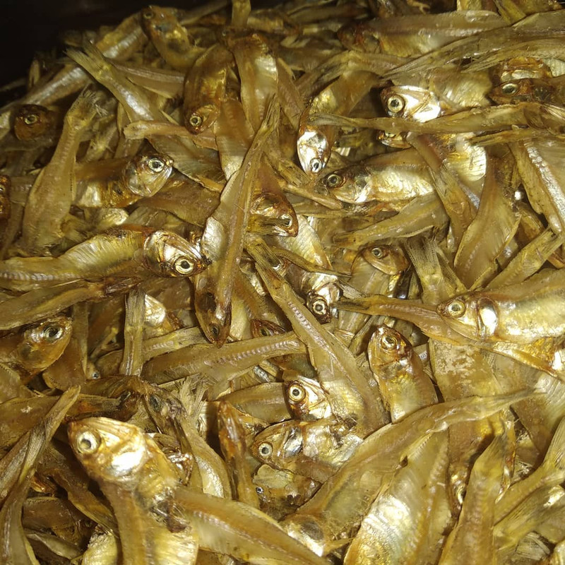 Ikan asin teri