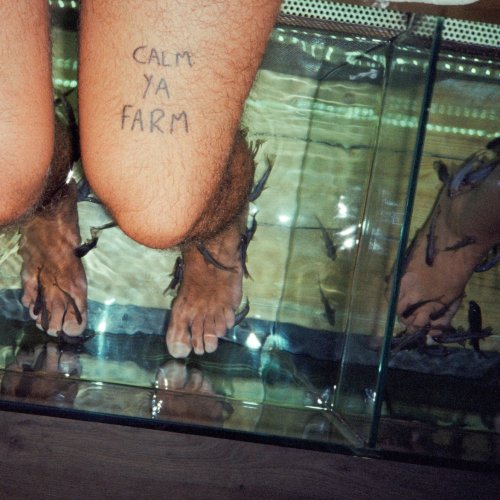 The Murlocs - Calm Ya Farm (2023) The Murlocs - Calm Ya Farm (2023)