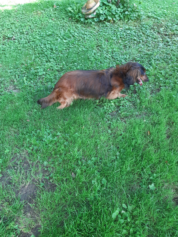 [Image: 20210813-181427.jpg]