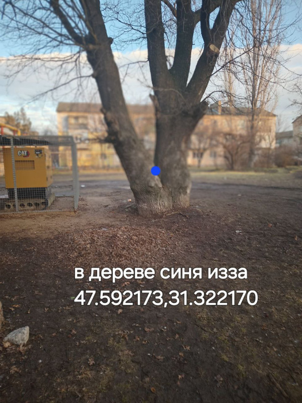 photo 27 2026 03 04 07 44 08