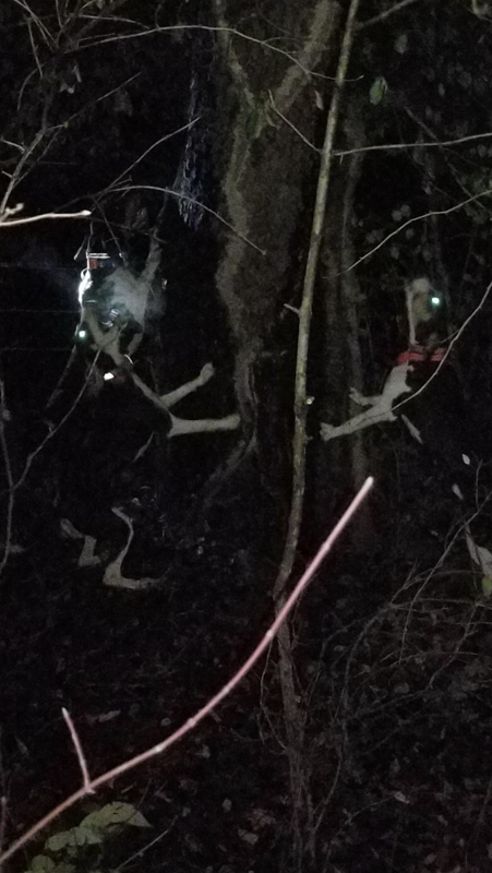 10AED388-F6A7-47A0-9192-B5F093A1FE54