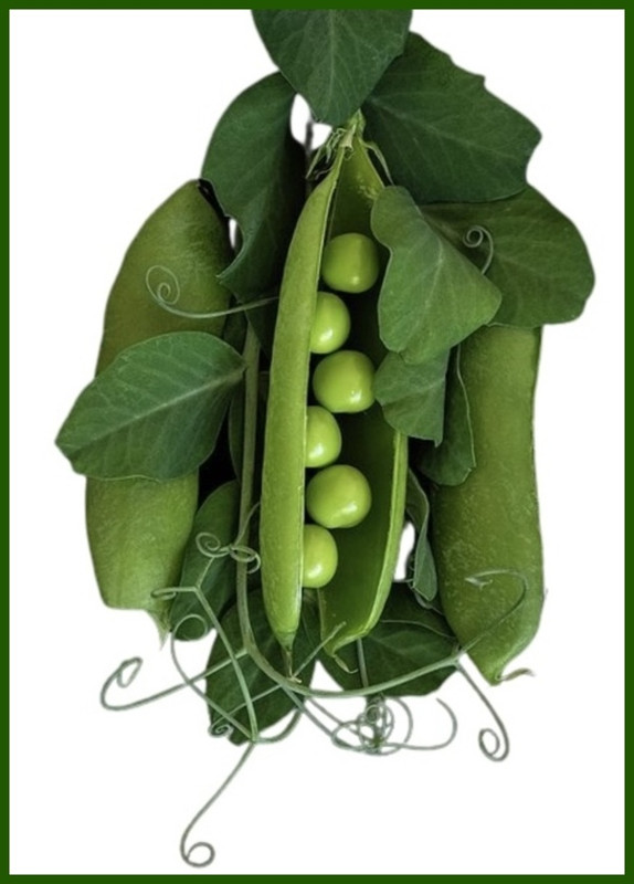 E1B0FBF1-69B0-45F8-8C3C-3D8896A5AF8F