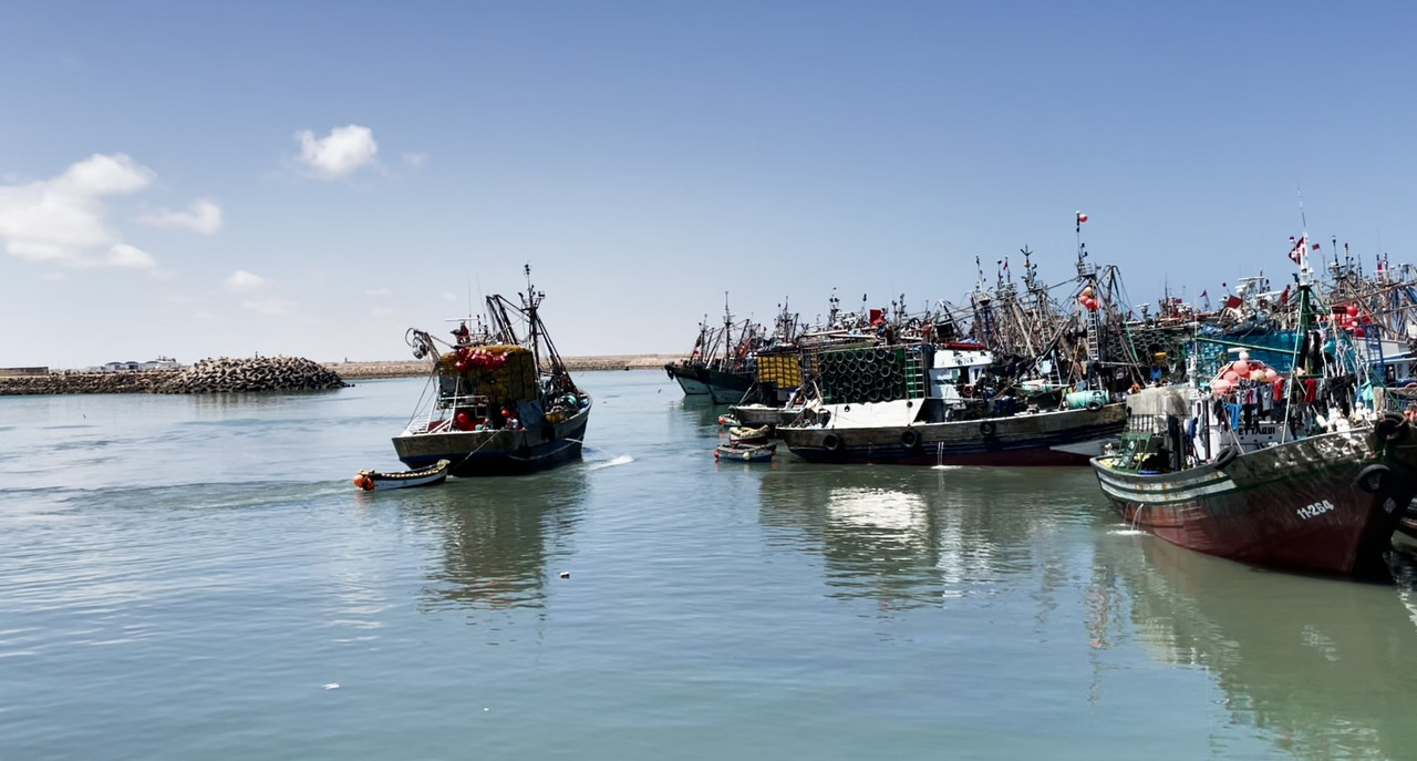 El Sahara Occidental - Blogs de Marruecos - Puertos y pueblos de pescadores en el Sáhara Occidental (11)