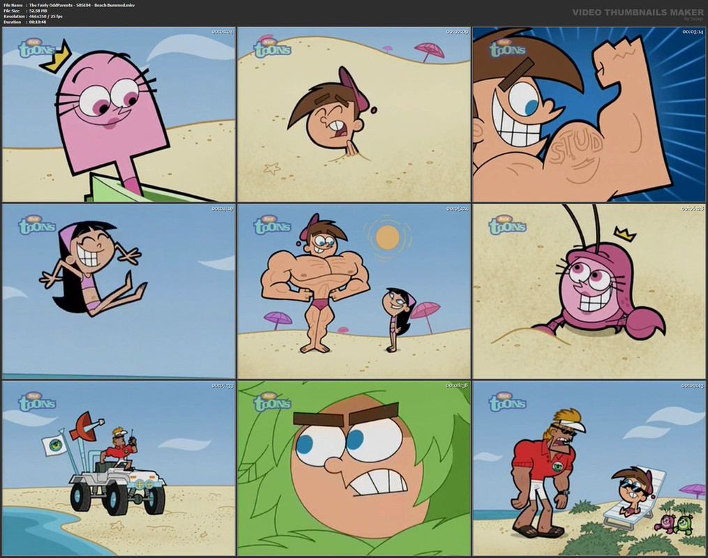 The Fairly OddParents - S05E04 - Beach Bummed.mkv