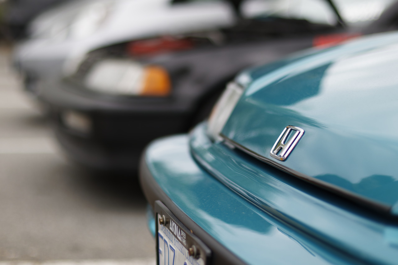 IMG 8926 Dx O Deep PRIME 3