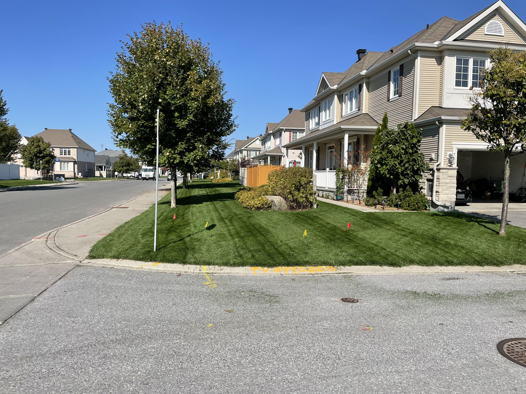 CFC0EE95-8D27-4644-9980-5B1BBA6C95E2