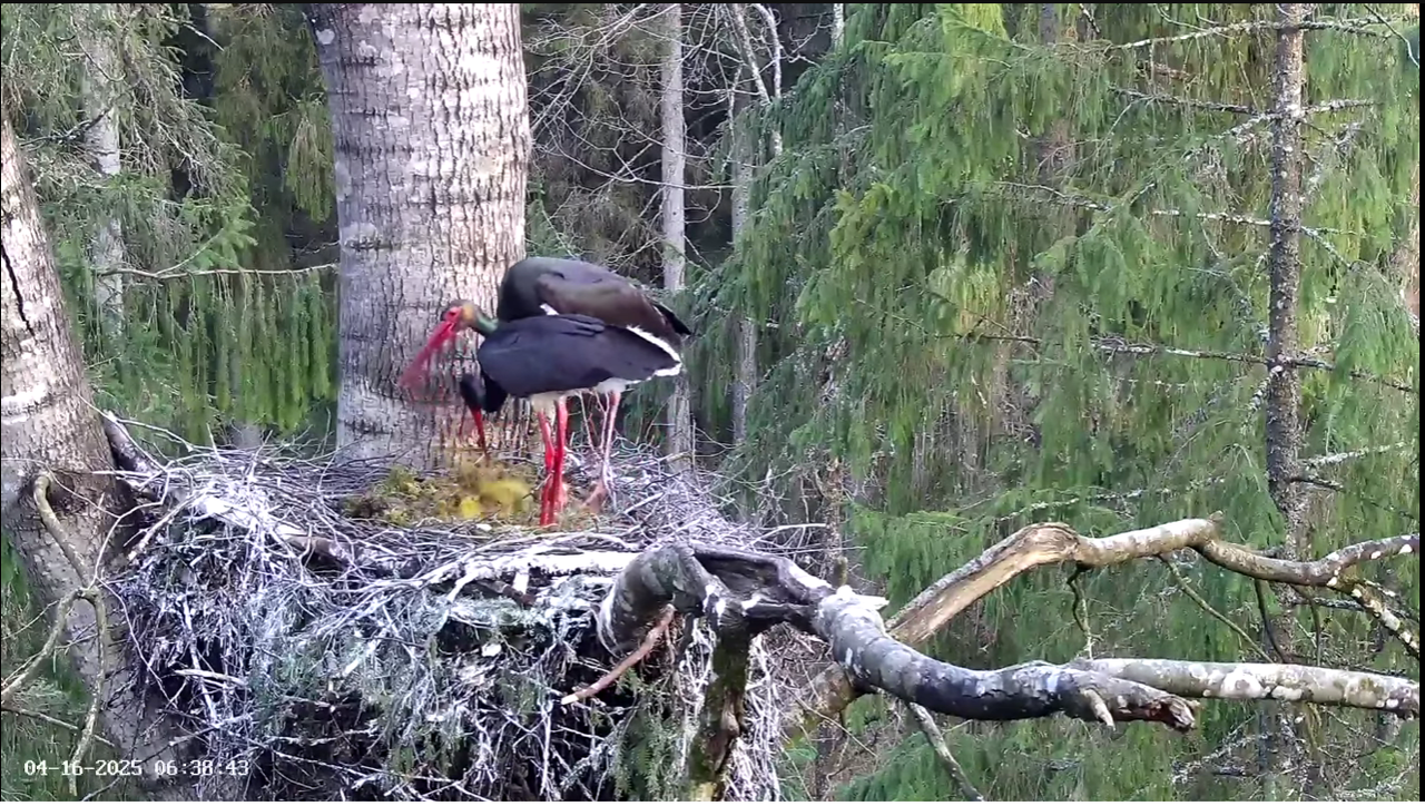 Ekrānuzņēmums 2025-04-16 064113