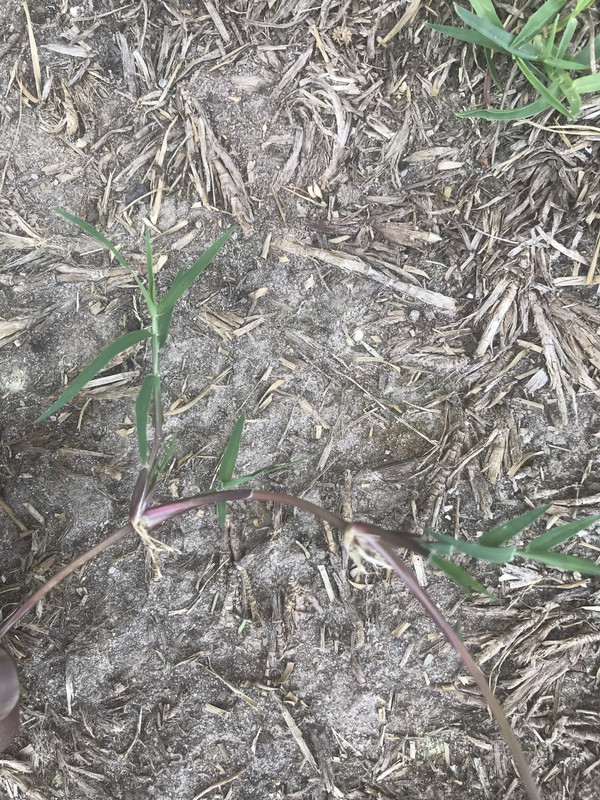 CE3CA3BA-A434-442E-A7CF-163DA6C3F283