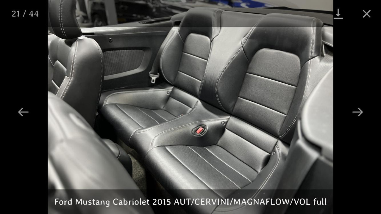 PHOTO-2022-11-27-10-19-53(3)