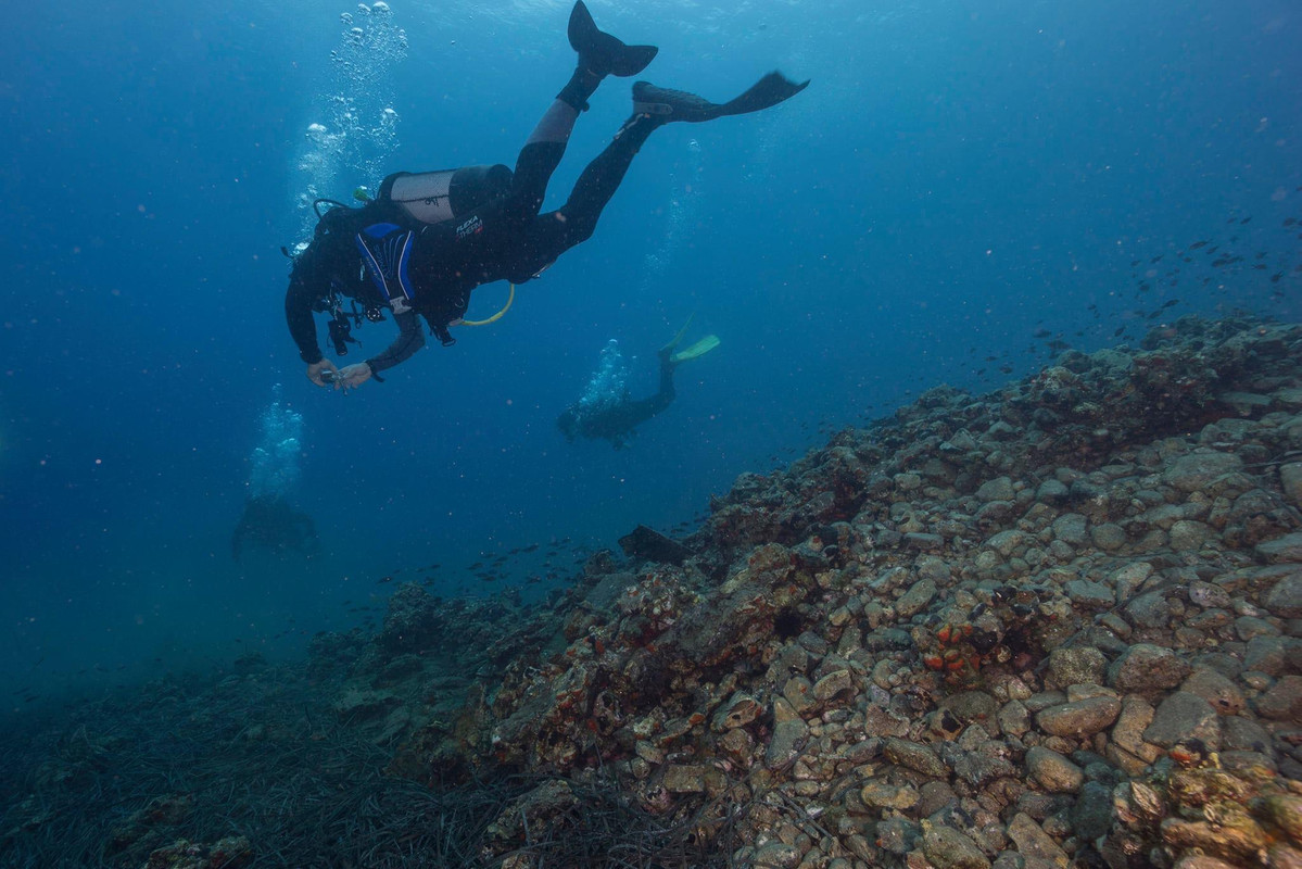 2F3098DA-A5E9-4F81-A112-AA6147028A72