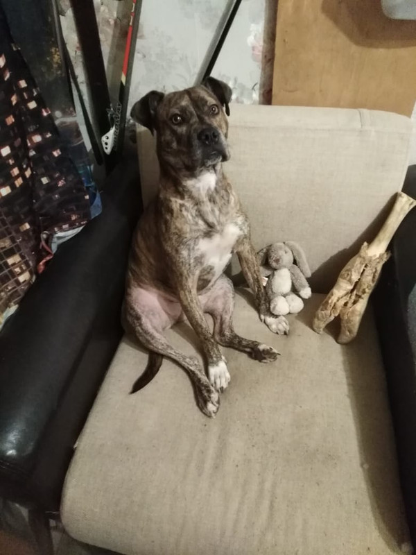 1B18D3B0-6413-4969-B56C-9E1846A26D16