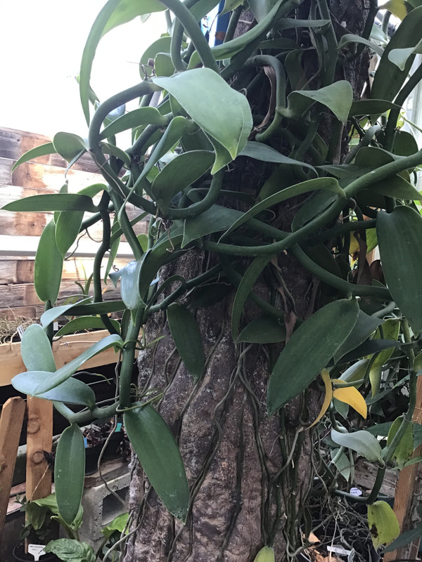 17C57A1F-B03B-4988-9170-AE8240A5F0EE