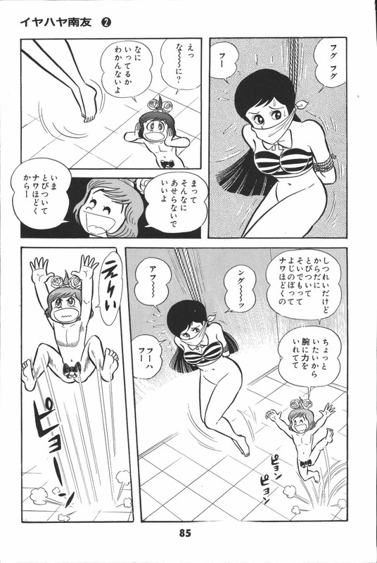 Iyahaya NantomoVol2-11