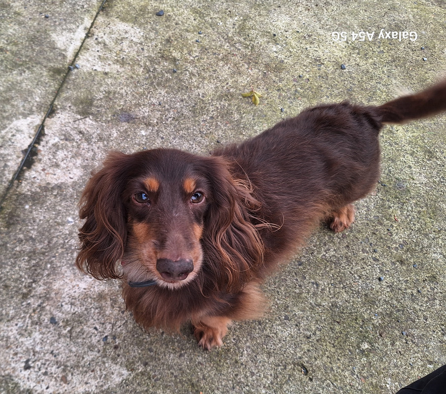 [Image: 20241220-145835.jpg]