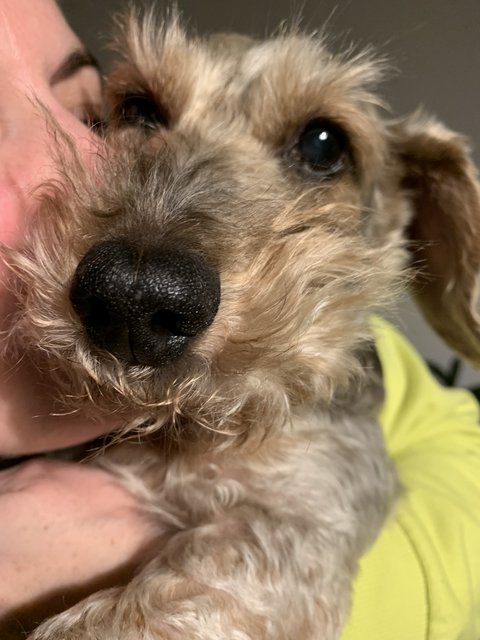 [Image: F42-EF062-490-D-4387-A0-E9-D45-AEB217-CCB.jpg]