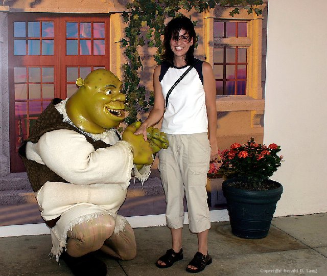 shrek-proposal.jpg