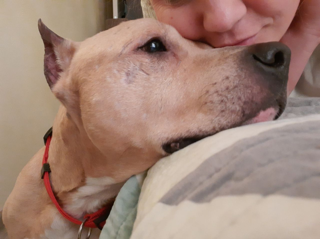 12AFF770-8DC3-4BBF-ACAD-686EF61FD8D8