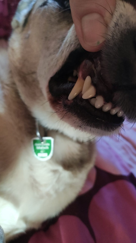 Whats App Image 2026 03 01 at 16 21 24