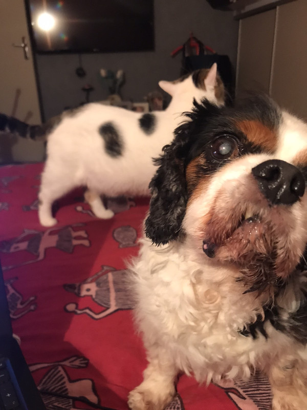 53074E76-92A1-4891-8F05-2FF8E29828D6