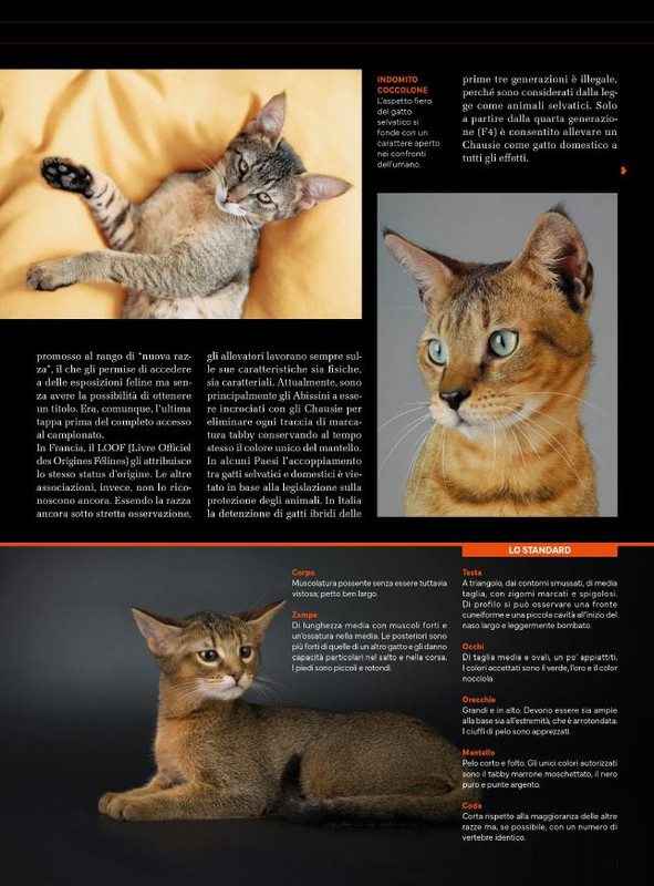 Ga Ma Ott-Nov 2024 (4)