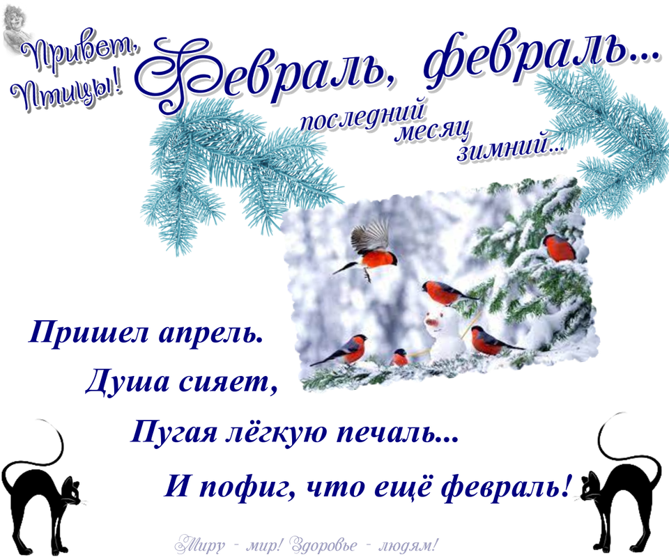 https://i.postimg.cc/76Lx5yYy/08-02.png