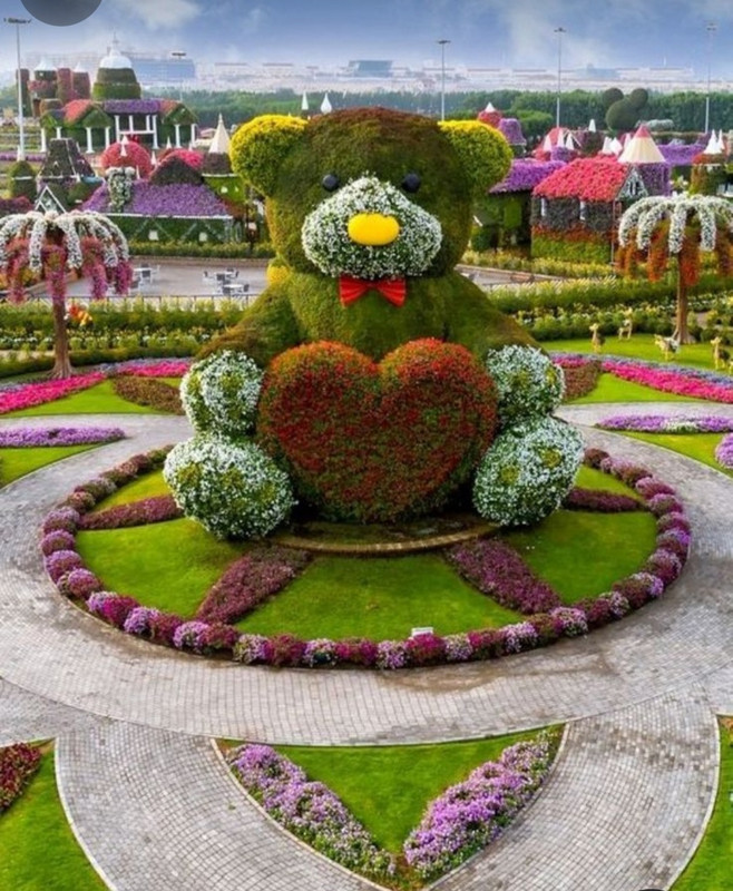 Screenshot_20240210_202044_Pinterest