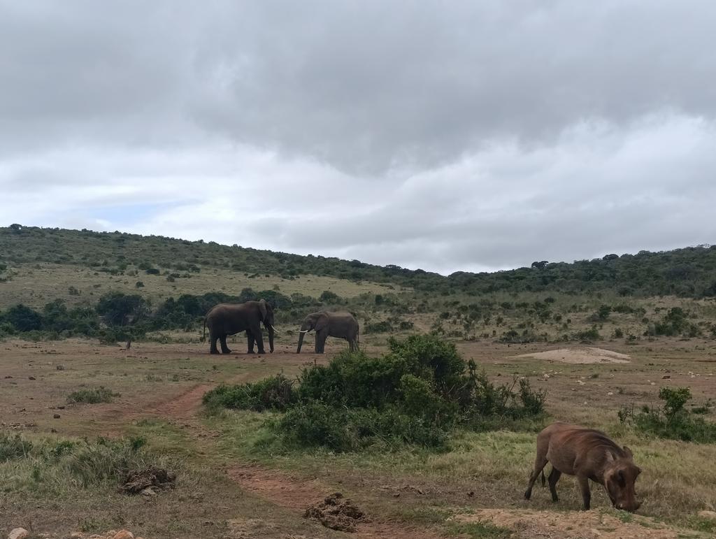 Такая близкая Африка. (ЮАР. 22 дня и 4200 км. Ноябрь-Декабрь)