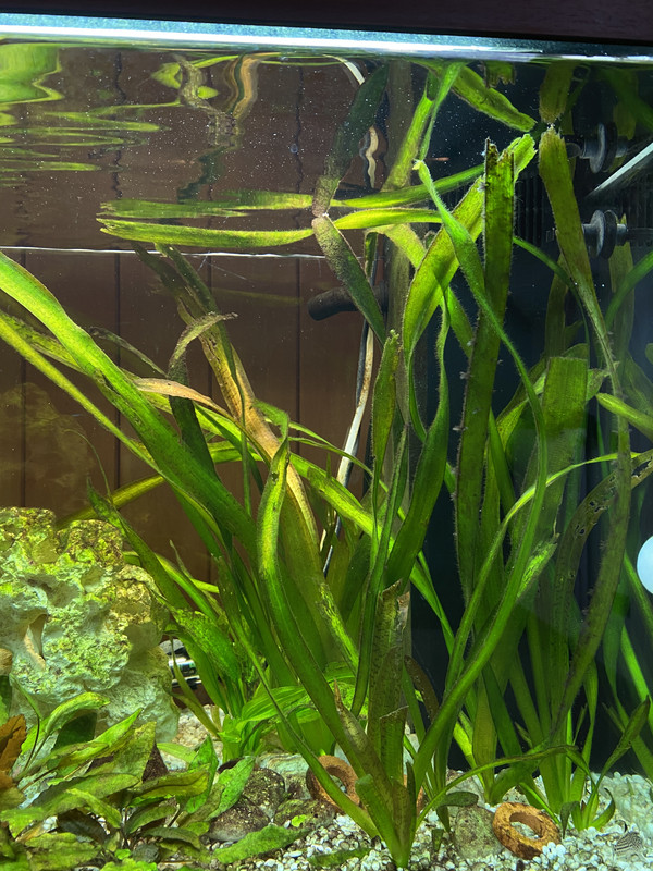 856DF61F-C528-48E8-9168-F67AE674D344