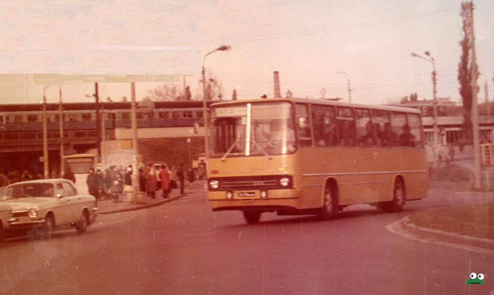 цвет киев авто (4)