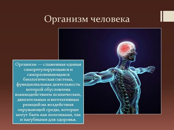 Человек – сбалансированная саморегулирующая система
