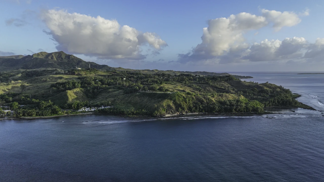 Professional Partnership and Trust