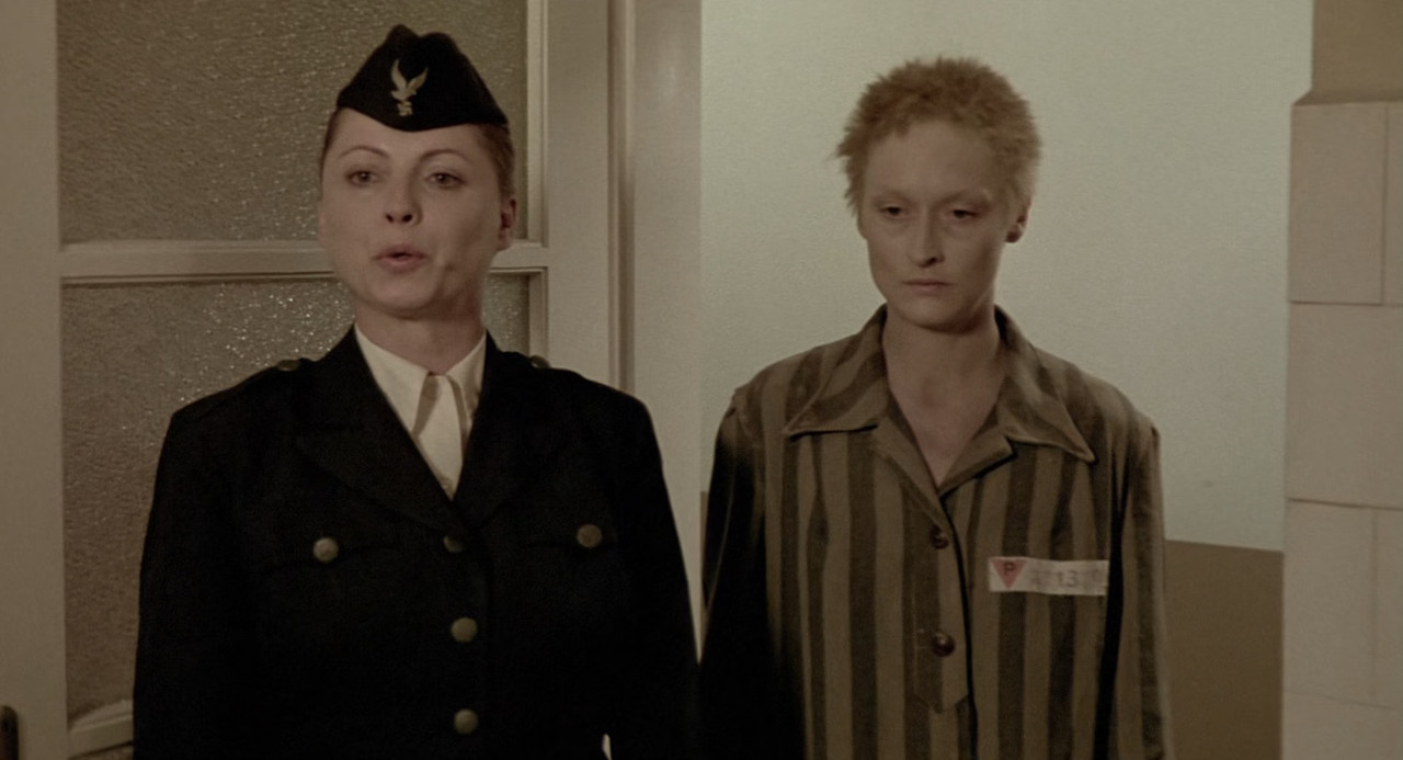 Sophie's Choice 1982 (1080p x265 10bit Tigole).mkv_snapshot_01.3