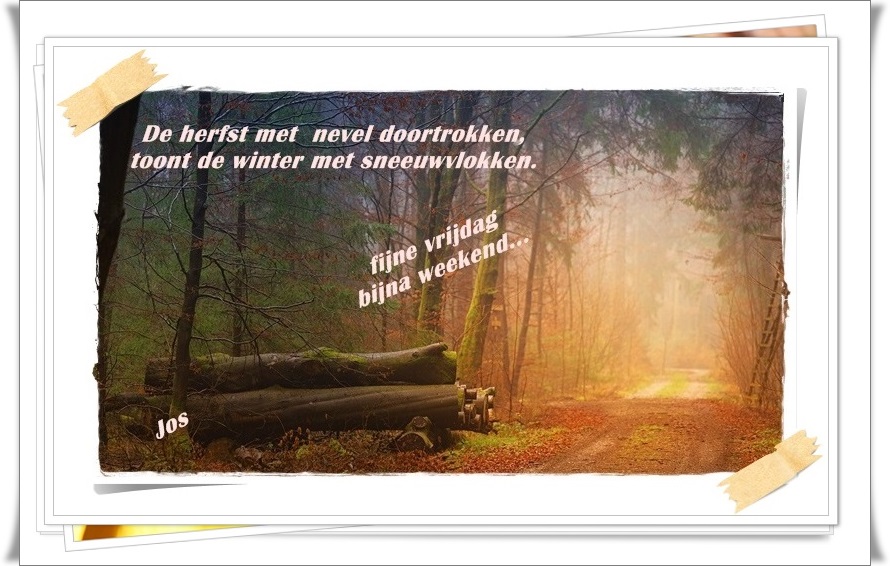 welkom opblog Bunic Jos