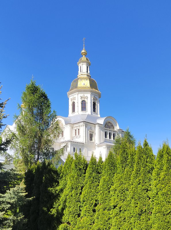 https://i.postimg.cc/76NDF2WV/130-IMG-20240525-150621.jpg