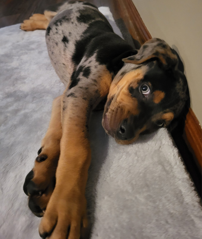 Resized_20250309_144621_1741554530803