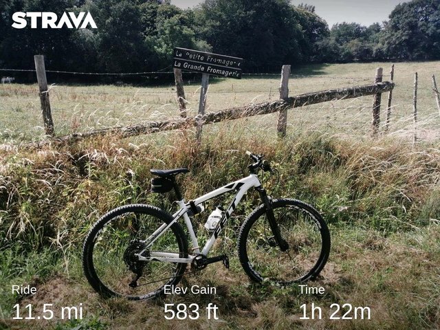 strava7241506108430917961.jpg