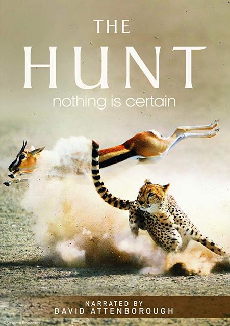 ნადირობა / nadiroba / The Hunt