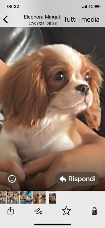 ddc1c626-f27f-44aa-9df5-bc423e76f519