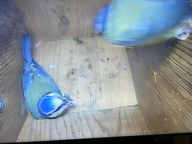 DD49E8D8-E47F-462E-AFC9-73F3694A8F69