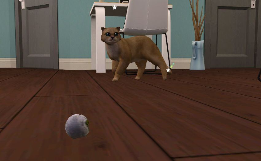 Sims2-EP9-2021-01-22-22-55-21-04